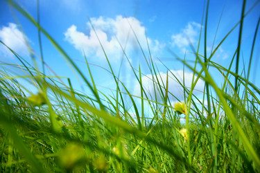 Similar image 643577