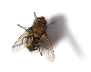 Similar image 643586