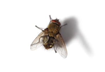 Similar image 643587