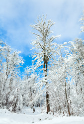 Similar image 643607