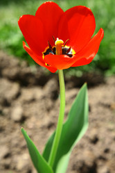 Similar image 643668