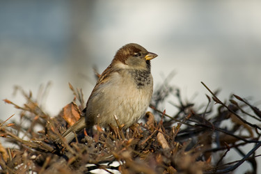 Similar image 643670