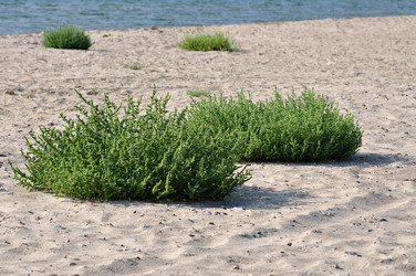 Similar image 643680