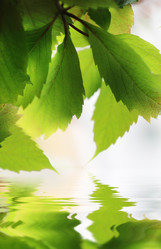 Similar image 643731