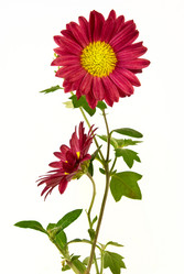 Similar image 643744