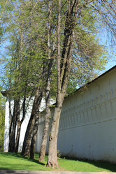 Similar image 643764