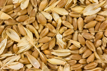 Similar image 643805