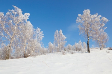 Similar image 643809