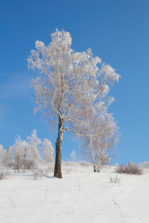 Similar image 643810