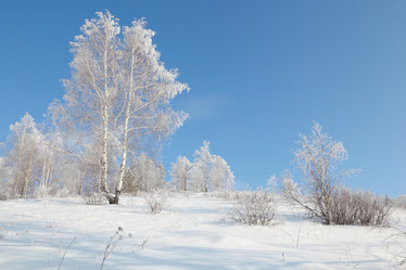 Similar image 643813