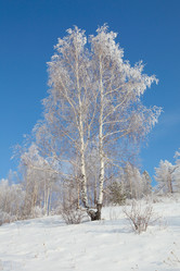 Similar image 643814