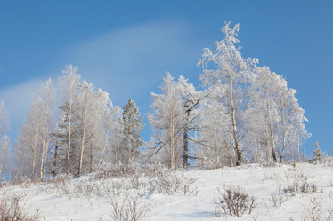 Similar image 643820