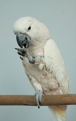 Similar image 643861