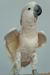 Similar image 643865