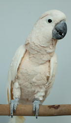 Similar image 643866