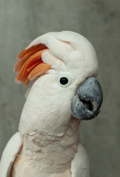 Similar image 643872