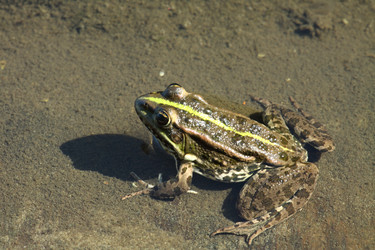 Similar image 643884