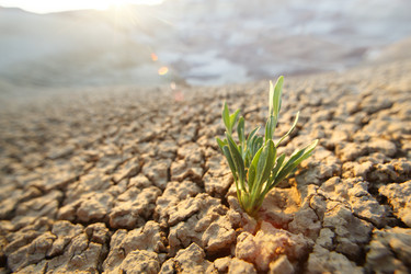 Similar image 643920