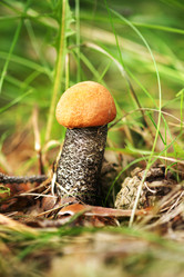 Similar image 643944