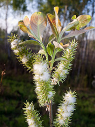 Similar image 643947