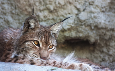 Similar image 643985