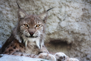 Similar image 643988