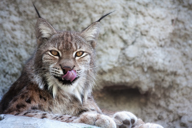 Similar image 643989