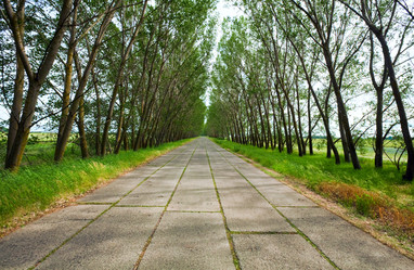 Similar image 644033