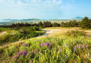 Similar image 644050