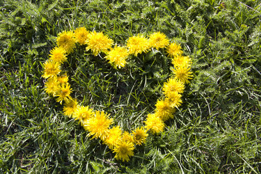 Similar image 644115