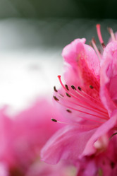 Similar image 644126