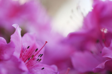 Similar image 644134