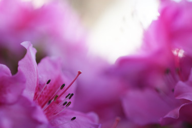 Similar image 644135