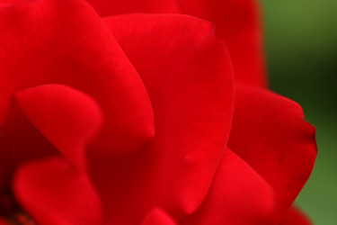 Similar image 644173