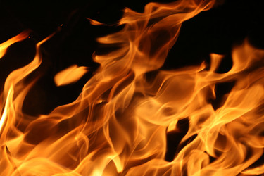 Similar image 644184