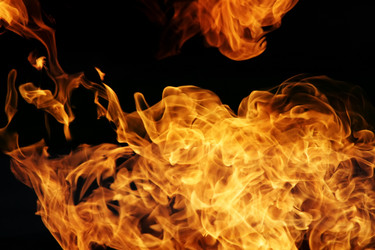 Similar image 644186