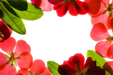 Similar image 644188