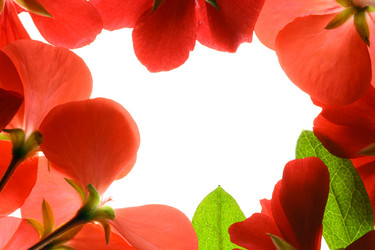 Similar image 644190