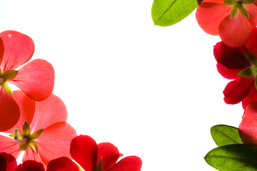 Similar image 644191