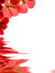 Similar image 644192