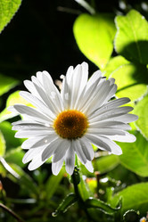 Similar image 644204