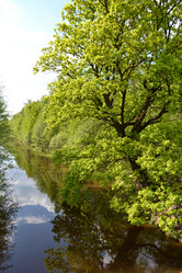 Similar image 644205