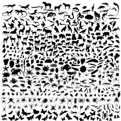 Similar image 644278