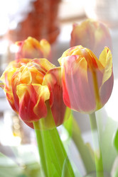 Similar image 644283