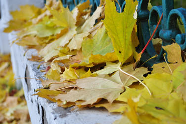 Similar image 644286