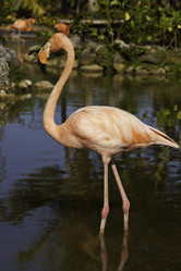 Similar image 644414