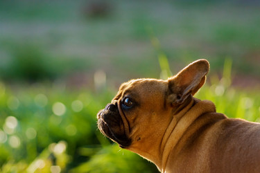 Similar image 644460