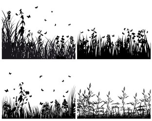 Similar image 644528