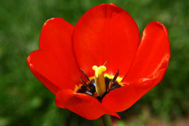 Similar image 644607