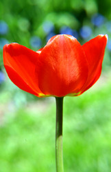 Similar image 644609